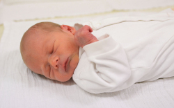 Artner Ármin, Hédervár