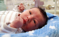 Antalkovics Áron, Bezenye