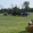 10.  Sajtos-Réti fogathajtó verseny 