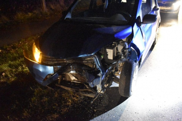 Kiugrott egy szarvas Bezenyénél, fékezés nélkül elütötte