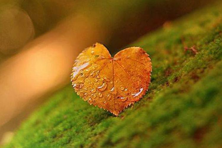 Szigetköz Natúrpark – Összhang a tájban