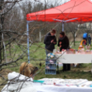 I. Szigetközi Vásár