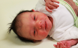 Bús Regina, Mosonmagyaróvár