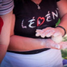 IV. Lébényi Ízőrző Nap