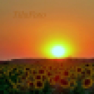 Tilai Gergely online fotókiállítása - díjnyertes képekkel