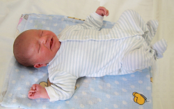 Laczkó Bence, Mosonmagyaróvár