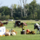 10.  Sajtos-Réti fogathajtó verseny 