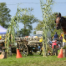 10.  Sajtos-Réti fogathajtó verseny 