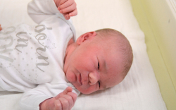 Fehér Szabolcs, Újrónafő