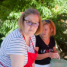 IV. Lébényi Ízőrző Nap