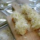 Mosonmagyaróvári Tudatos Vásárlók Klubja