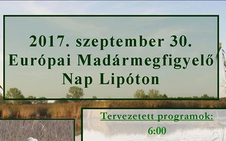 Ülj fel a nagy kócsag hátára...