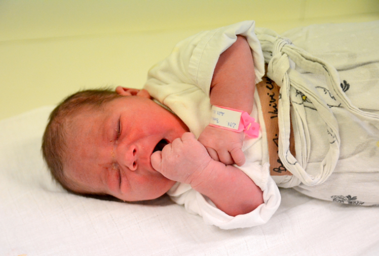 Berezi Vivien, Dunasziget