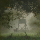 Tilai Gergely online fotókiállítása - díjnyertes képekkel