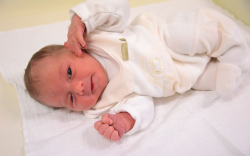 Pethő Petra, Jánossomorja