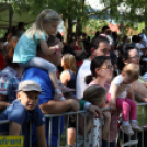 Szigetközi gulyahajtás 2018