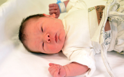 Ásványi Péter, Ásványráró