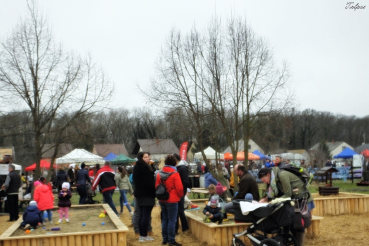 I. Szigetközi Vásár