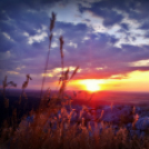 Scháling Anita Fotóalbuma