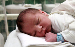 Peredi Márton László, Mosonmagyaróvár