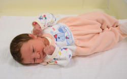 Varju Mia, Várbalog