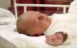 Papp Dominik, Kapuvár