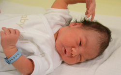 Koltai Nimród, Csorna