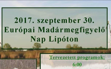 Ülj fel a nagy kócsag hátára...