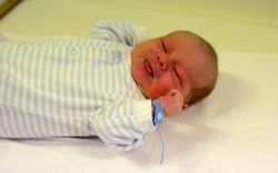 Németh Martin, Győrsövényház