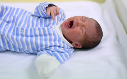 Horváth Dániel Sándor, Mosonmagyaróvár