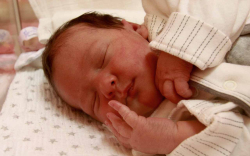 Winkler Lia, Mosonmagyaróvár