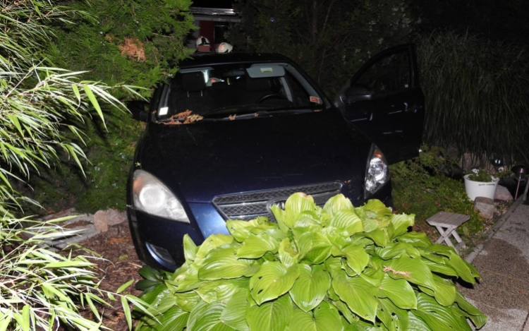 Átszakítva a kerítést kerti tóba hajtott egy személyautó Dunakilitin