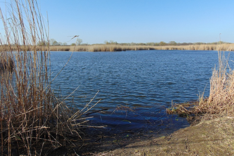 Könnyű séta Lipóton