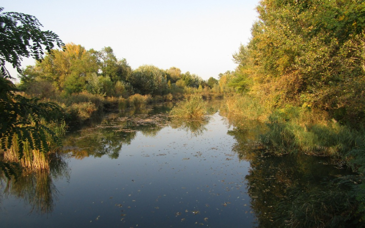Rajkán csendesen - részlet egy madárbarát naplójából