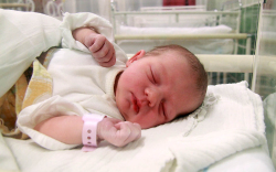 Váncsa Zoé, Mosonmagyaróvár