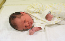 Demjén Dávid, Mosonmagyaróvár