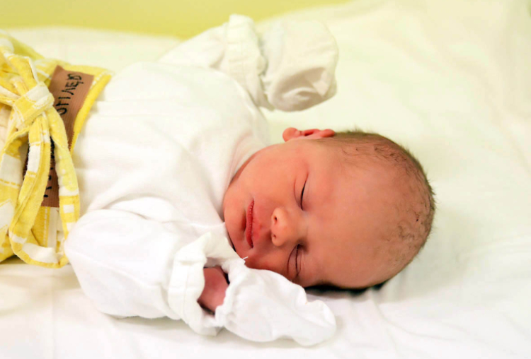 Molnár Olivér, Mosonmagyaróvár