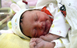 Gősi Luca Kata, Mosonmagyaróvár