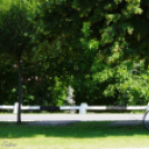 Szigetköz Konferencia - 2018. május 31.