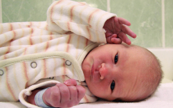 Haskó Dániel, Dunakiliti