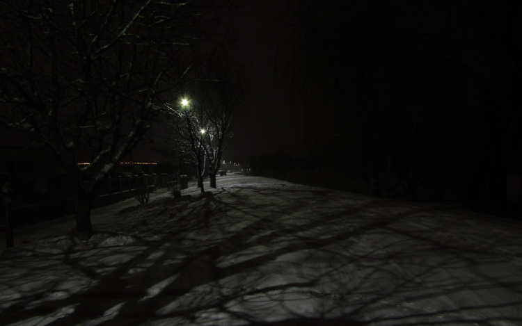 Ahol a csend érték - Egy madárbarát naplója