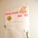 Sakk Múzeum a Fehér Ló Közösségi Házban