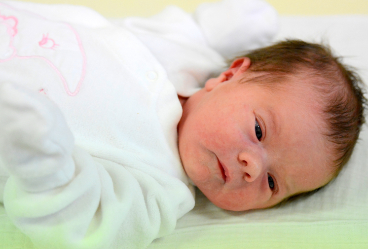 Fodor Csenge, Bősárkány