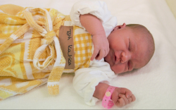 Tóth Katica, Jánossomorja