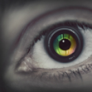 Scháling Anita Fotóalbuma