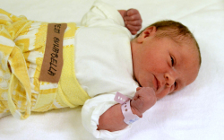 Pesti Annabella, Mosonmagyaróvár