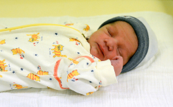 Szabados Márk, Lébény