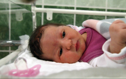 Schmidt Rozina, Mosonmagyaróvár