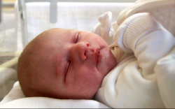 Horváth Dávid, Vitnyéd