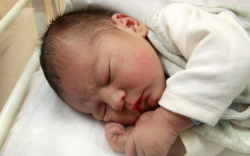 Farkas Ádám, Mosonmagyaróvár